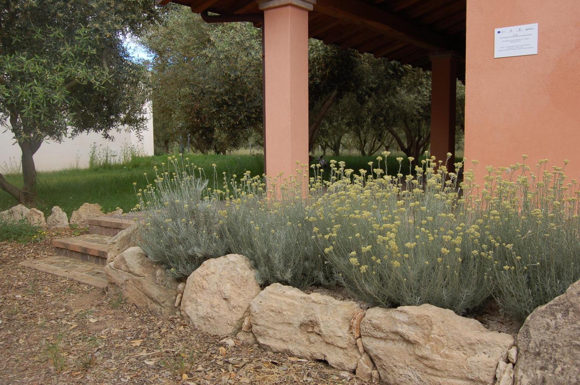 Agriturismo Villa Degli Ulivi San Vero Milis المظهر الخارجي الصورة